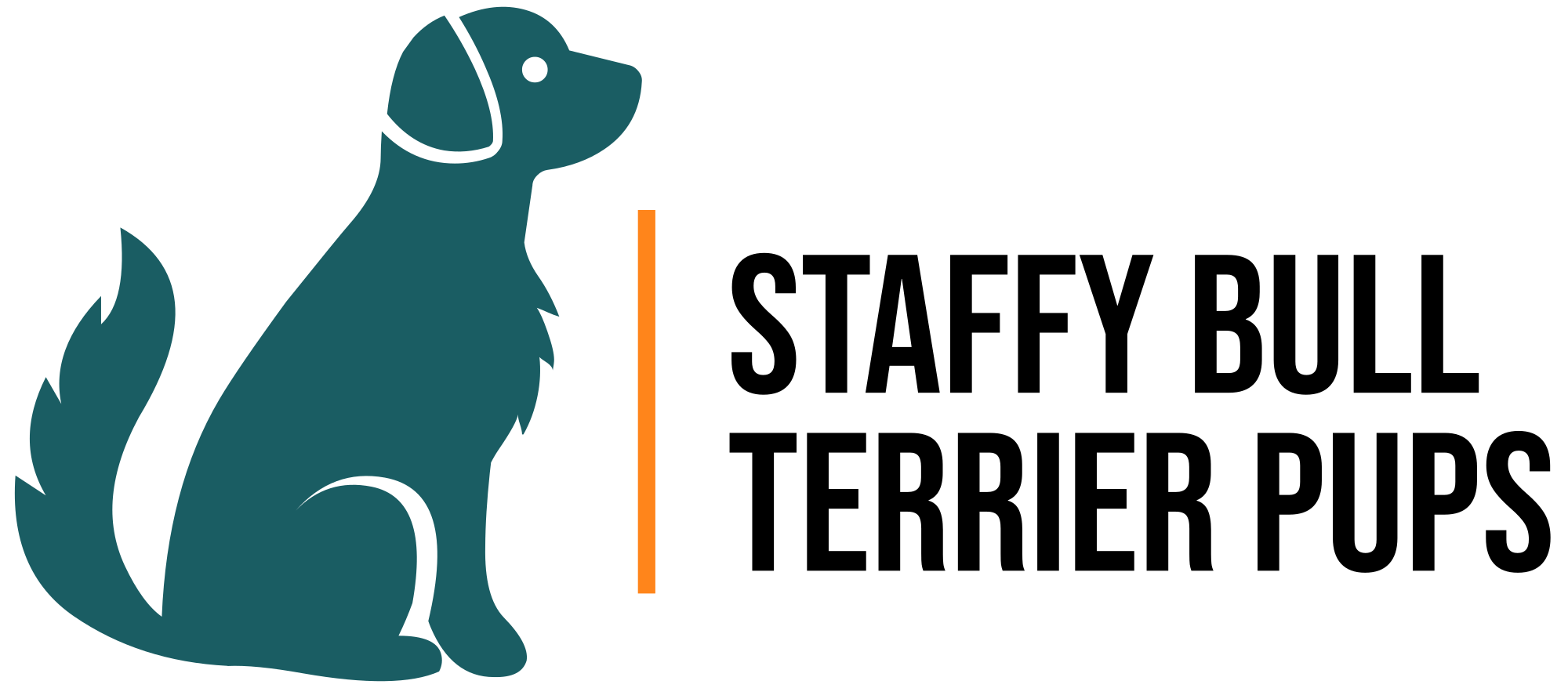 staffy-bull-terrier-